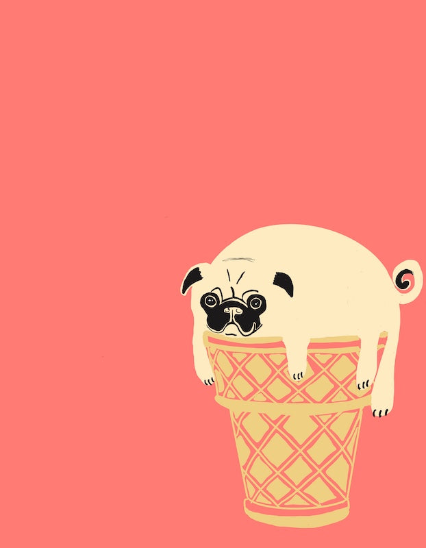 Pugs